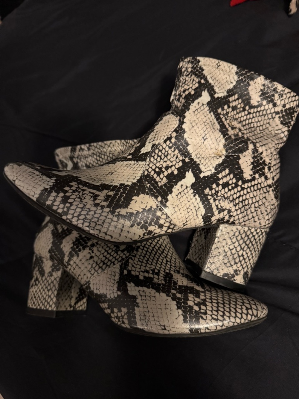 Women’s Snake-Print Ankle Boots - Black & Cream
